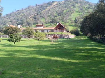 Imagen 19