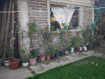 Imagen 23
