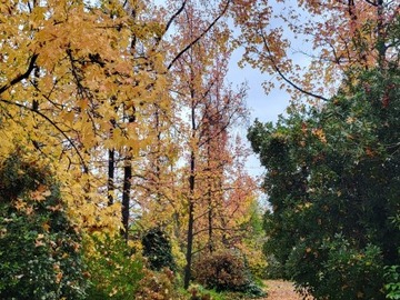 Venta / Casa / Pirque