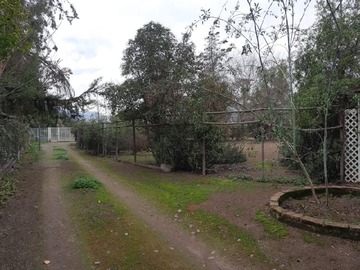 Imagen 28