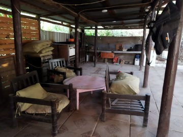 Imagen 5