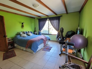 Imagen 12