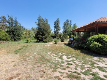 Imagen 19