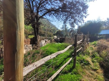 Imagen 5