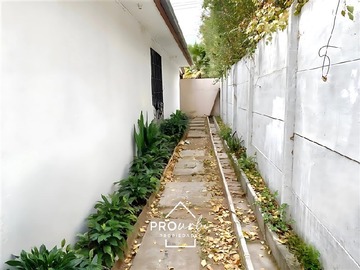 Imagen 26
