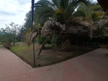 Imagen 24