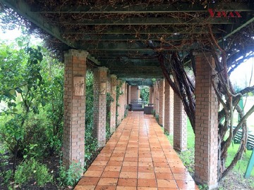 Imagen 8