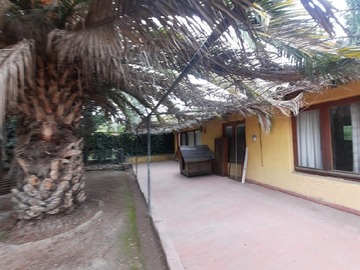 Imagen 19