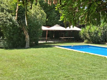 Imagen 21
