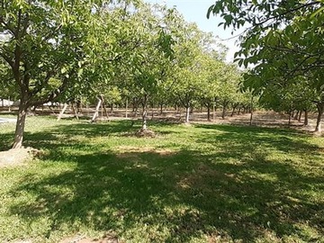 Venta / Casa / Pirque