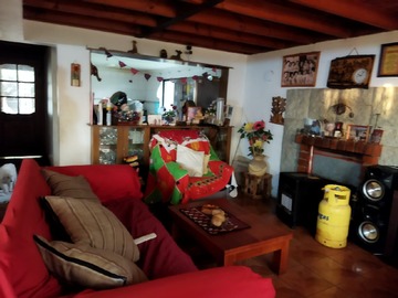 Imagen 23