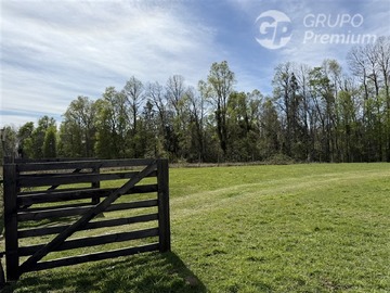 Venta / Casa / Pitrufquén