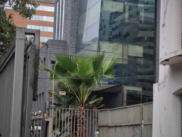 Imagen 12