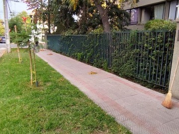 Imagen 20