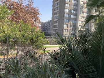 Imagen 14