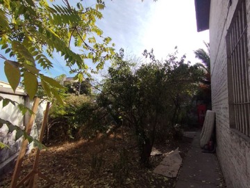 Imagen 20