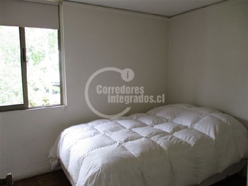 Imagen 15