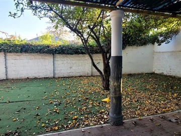 Imagen 23