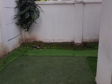 Imagen 22