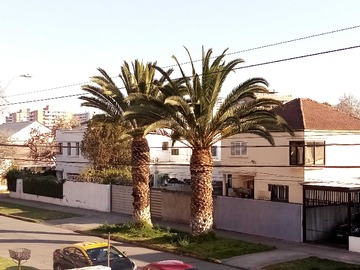 Imagen 16