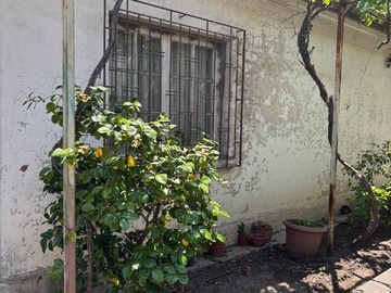 Imagen 7