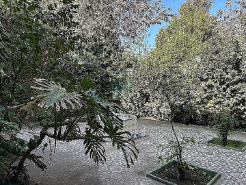 Imagen 5