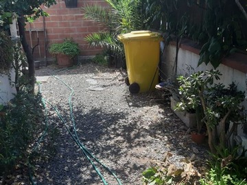 Imagen 39