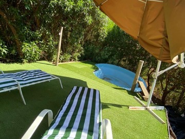 Imagen 13