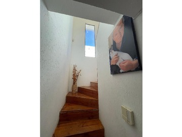 Imagen 20