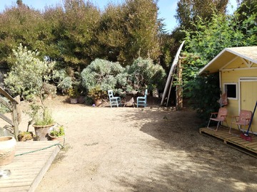 Patio con jardín