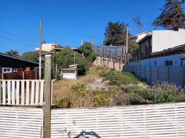 Imagen 5