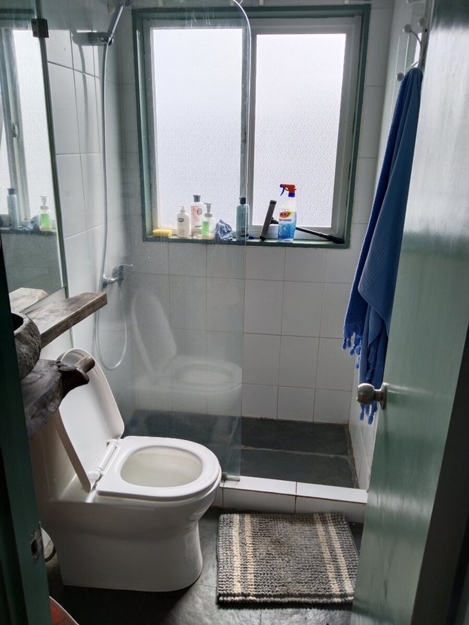 Baño1