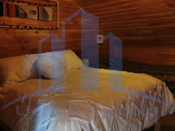 Imagen 11
