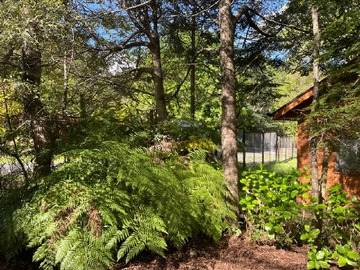 Venta / Casa / Pucón