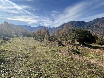 Imagen 12