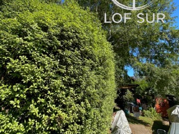 Imagen 21