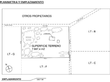 Imagen 6