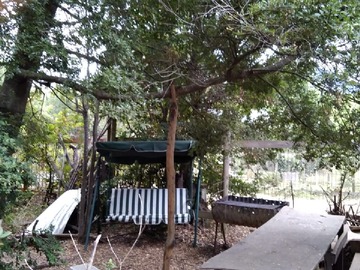 Patio con Mesedora