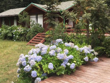 Venta / Casa / Pucón