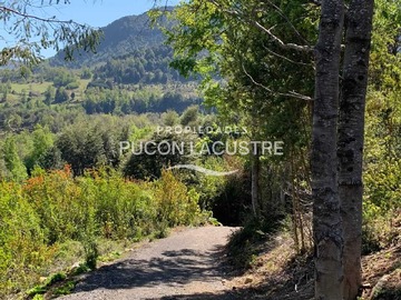 Imagen 10