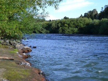 Venta / Casa / Pucón