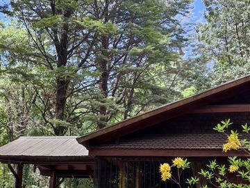 Venta / Casa / Pucón