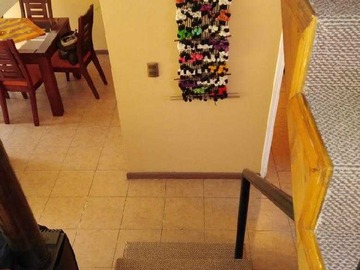 Imagen 10