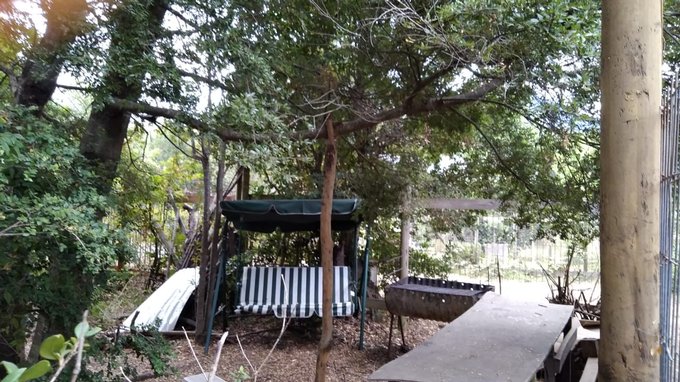 Patio con Mesedora