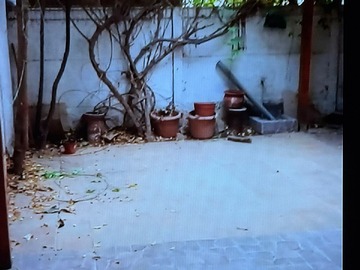 Imagen 10