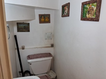 Imagen 21