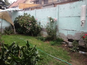 Imagen 13