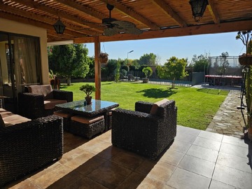 Imagen 10