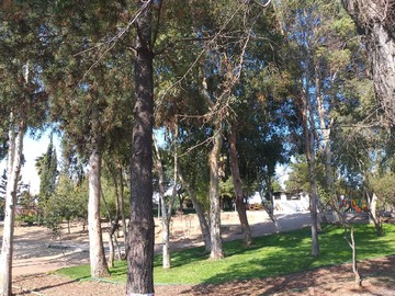 Imagen 18