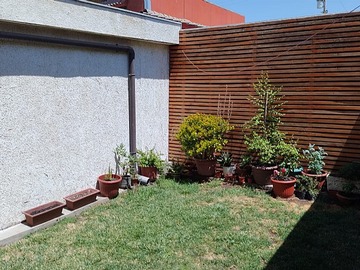 Imagen 29